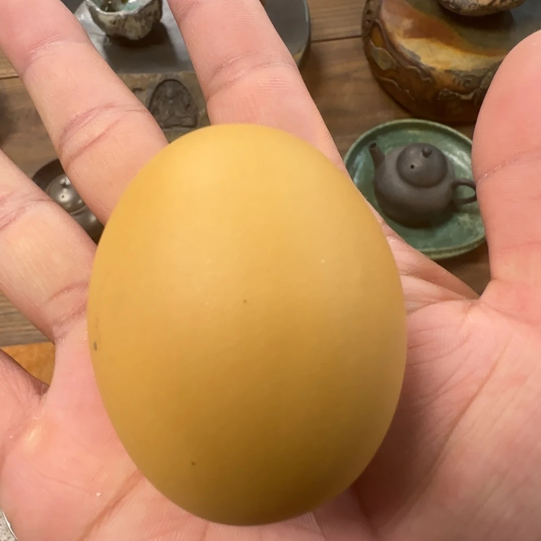 杯上午直播一物一拍