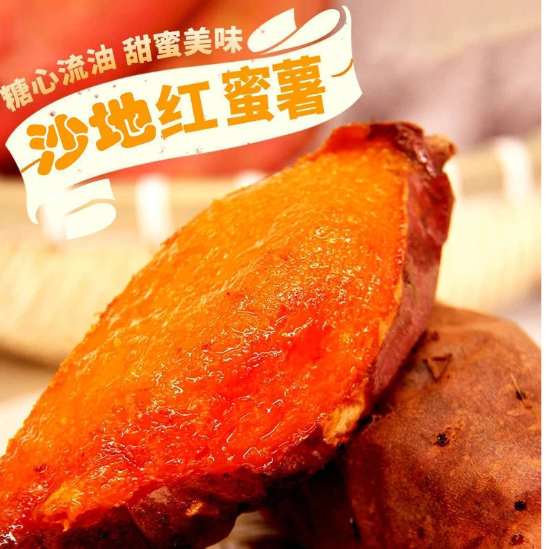 【新人福利】现挖龙薯九蜜薯好吃美味红薯地瓜沙地软糯香甜9斤糖心