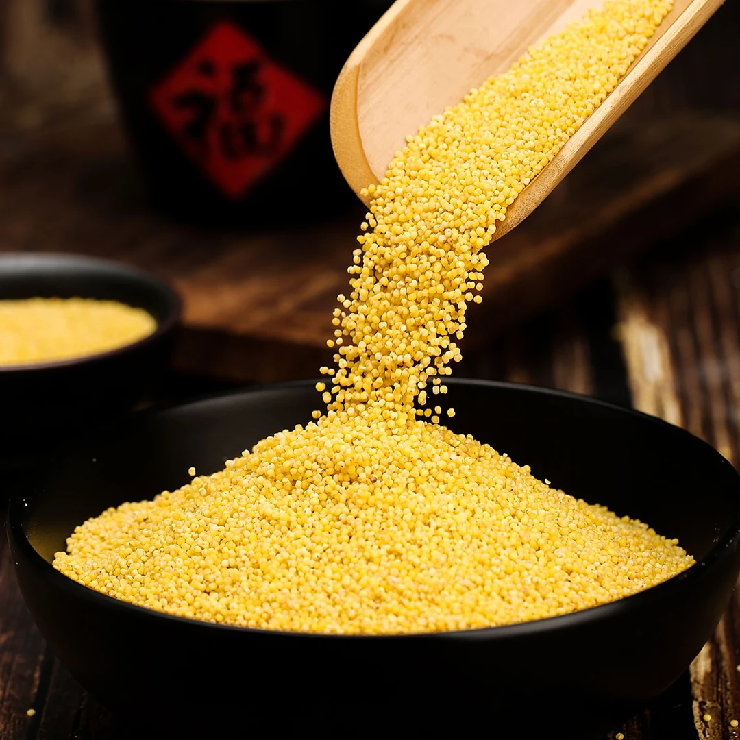 黄小米内蒙古正宗黄小米五谷杂粮粗粮特产优质小米产地直销营养zb