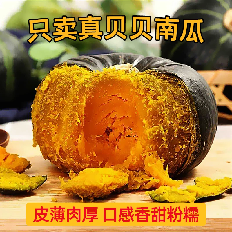 正宗沙地贝贝南瓜产地自然健康香甜板栗味粉糯宝宝辅食孕妇早餐
