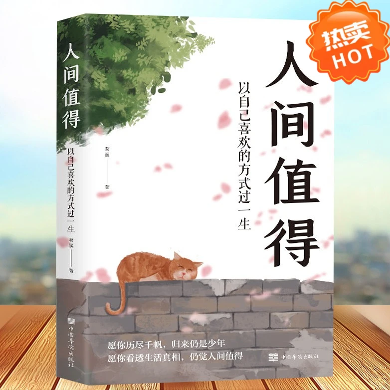 人间值得以自己喜欢的方式过一生正能量成长心态情绪内心控制书籍