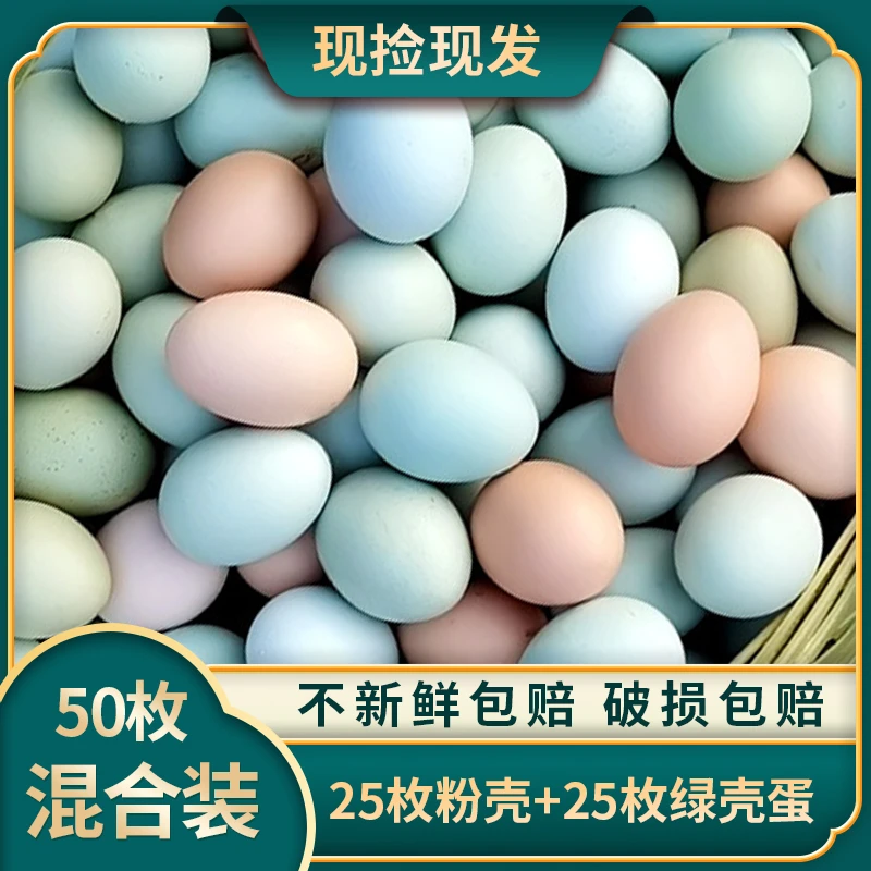 【阳哥 阳嫂专用】混合装50枚4.5斤~5斤正宗农家散养土鸡蛋现捡现发