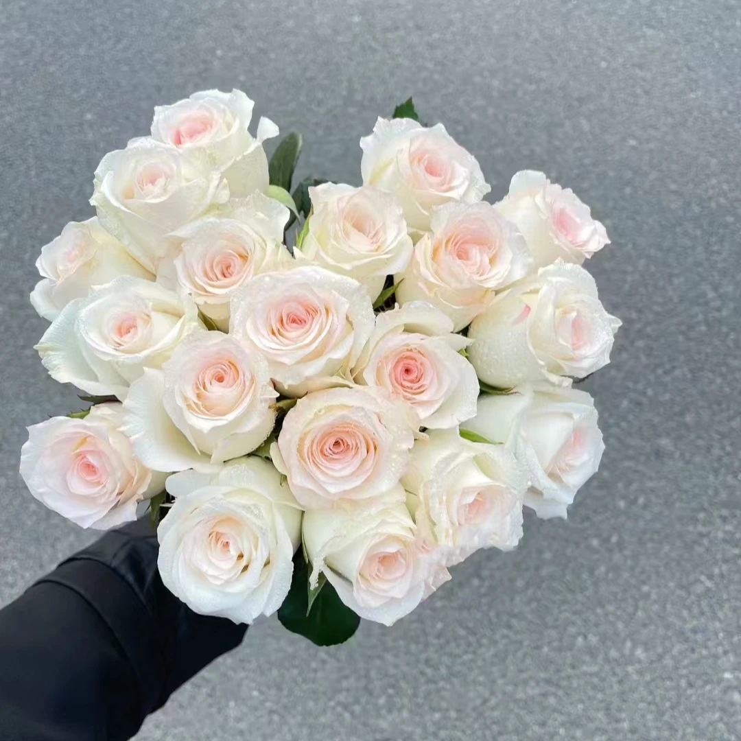 【鑫悦花坊】小白兔玫瑰