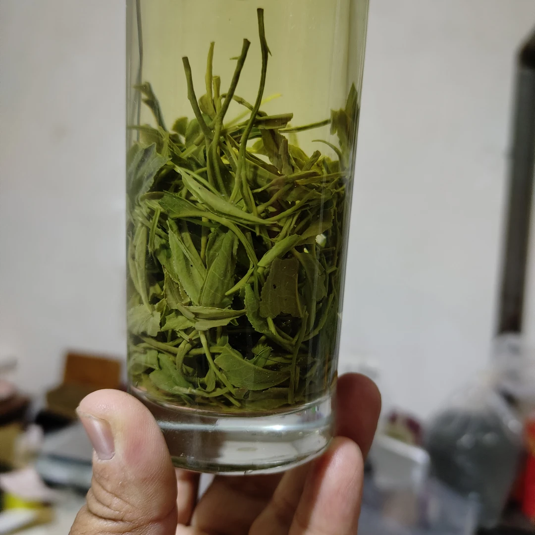 【栗香谷雨4月19号】2025信阳毛尖谷雨大叶茶苦劲大茶农自产自销