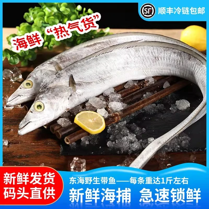 东海野生带鱼雷达网小眼睛整条装无冰衣