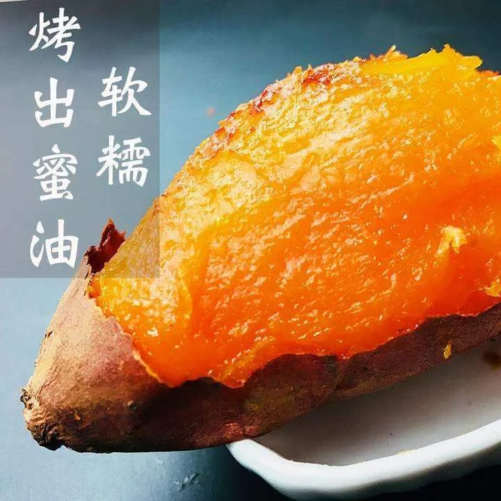 正宗山东烟薯25号红心蜜薯产地直发农科院苗烤烟薯包赔自种红薯地