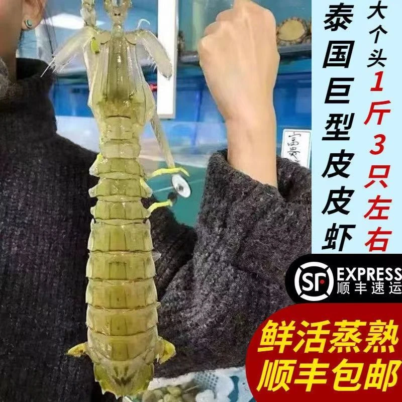超低温速冻泰国巨型皮皮虾超大虾姑海鲜上海发货包邮富贵虾