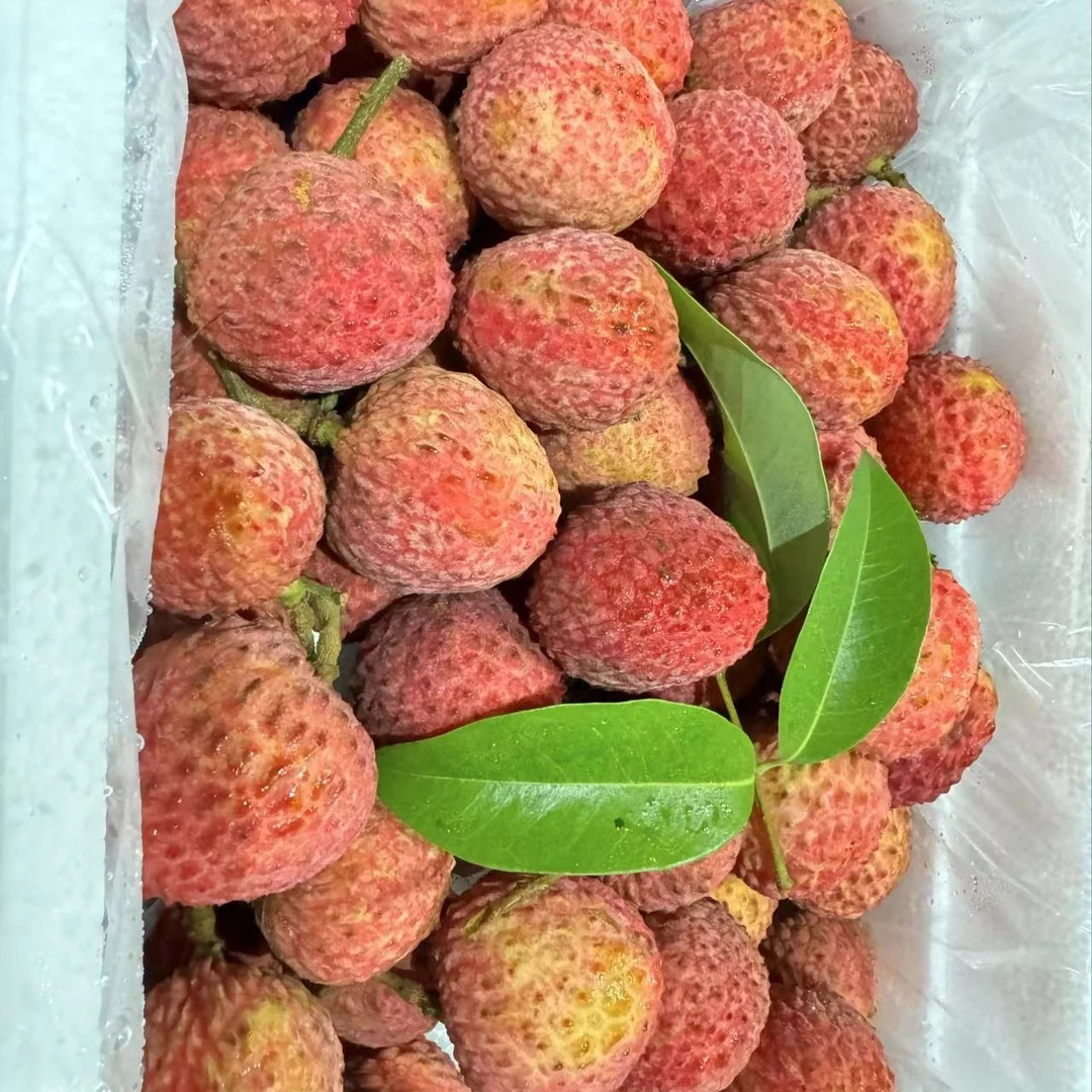 【果真不错】仙进奉荔枝 果肉白嫩 汁水清甜 核小肉厚