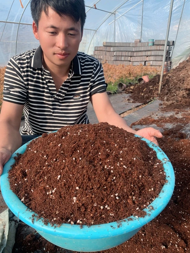 枫树专用土营养土熙溪花卉红枫养护盆栽营养土