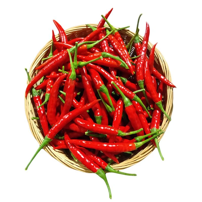 【精选】小米椒约50g份