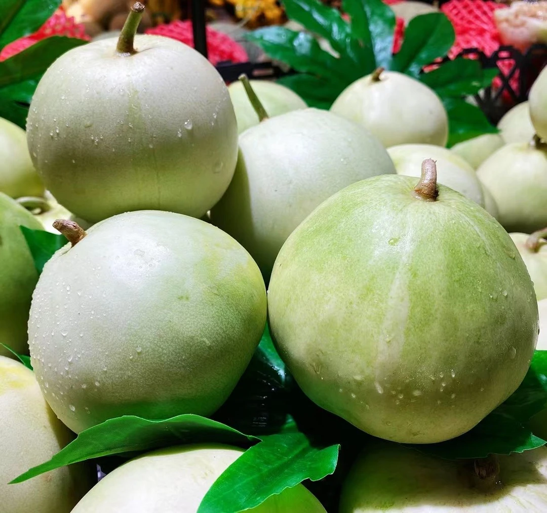 青香瓜约1000g/份（约3个）