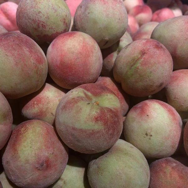 苹果水蜜桃约500g/份
