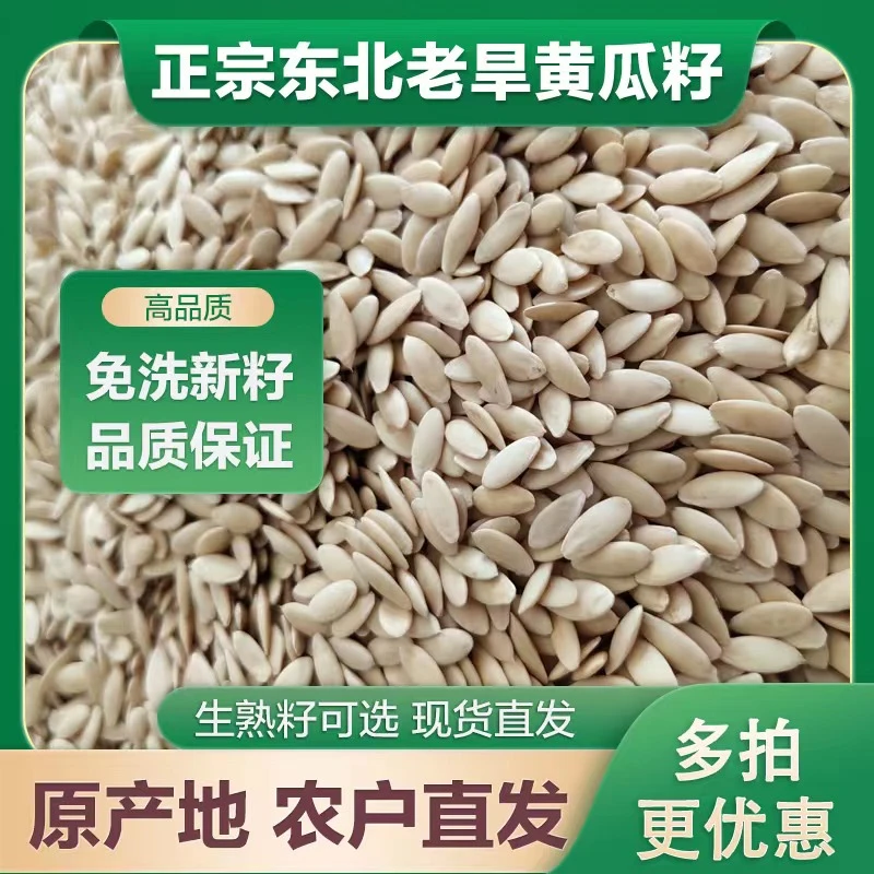 东北老旱黄瓜籽25年新货生熟籽