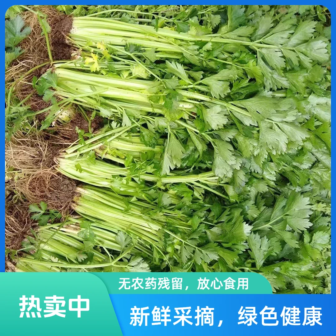 老弟赶大集代购农家自种芹菜