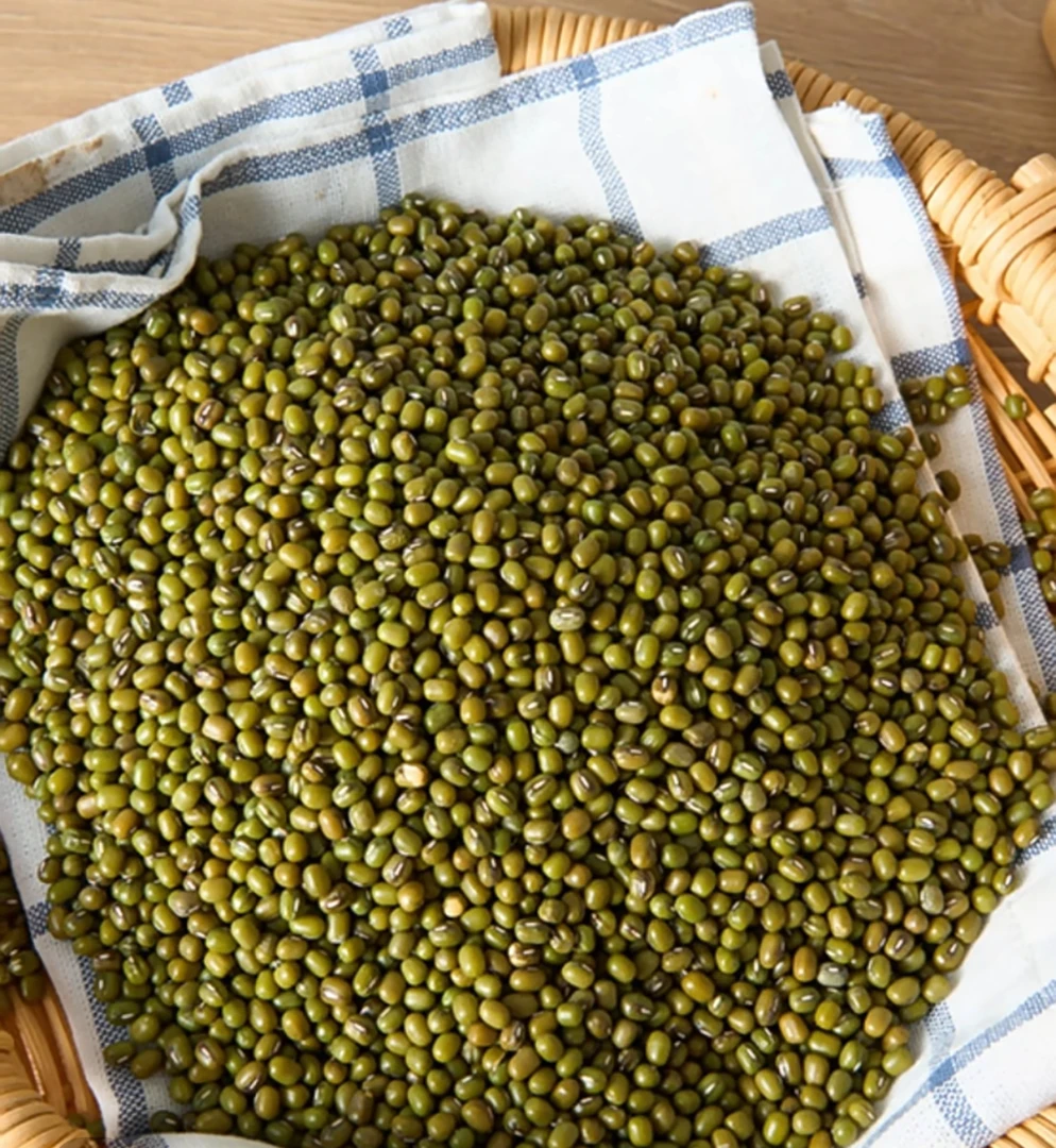 农家自产绿豆大颗老品中绿豆