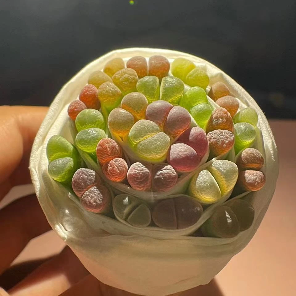 精品风铃高品质风铃混合