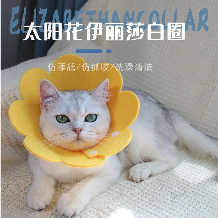 伊丽莎白脖圈 猫咪防舔咬防抓头套轻薄耻辱软圈狗狗项圈宠物用品