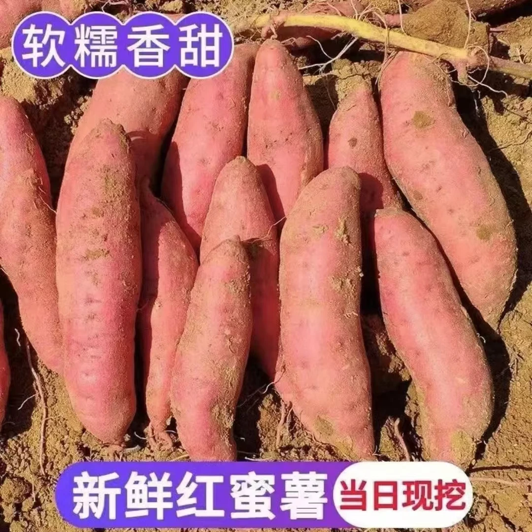 【抢购中】超甜沙地红薯新鲜红蜜薯板栗薯地瓜5-9斤番薯蔬菜