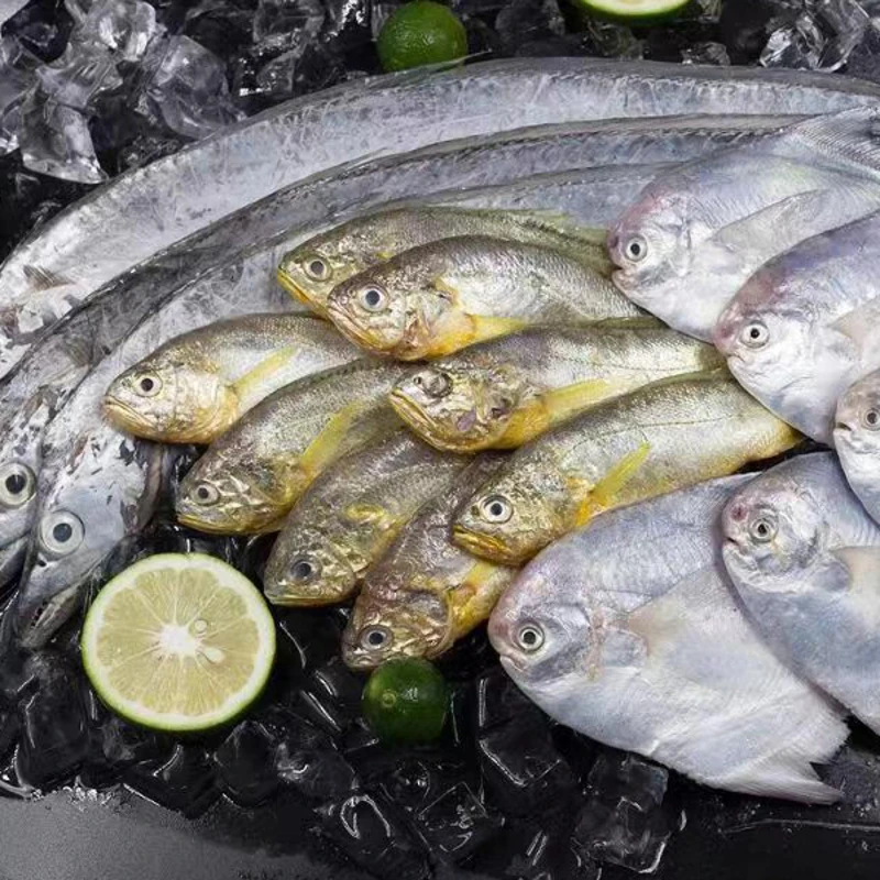 【尝鲜小海鲜套餐】宁波海鲜东海小海鱼小海虾（个头不大介意慎拍）