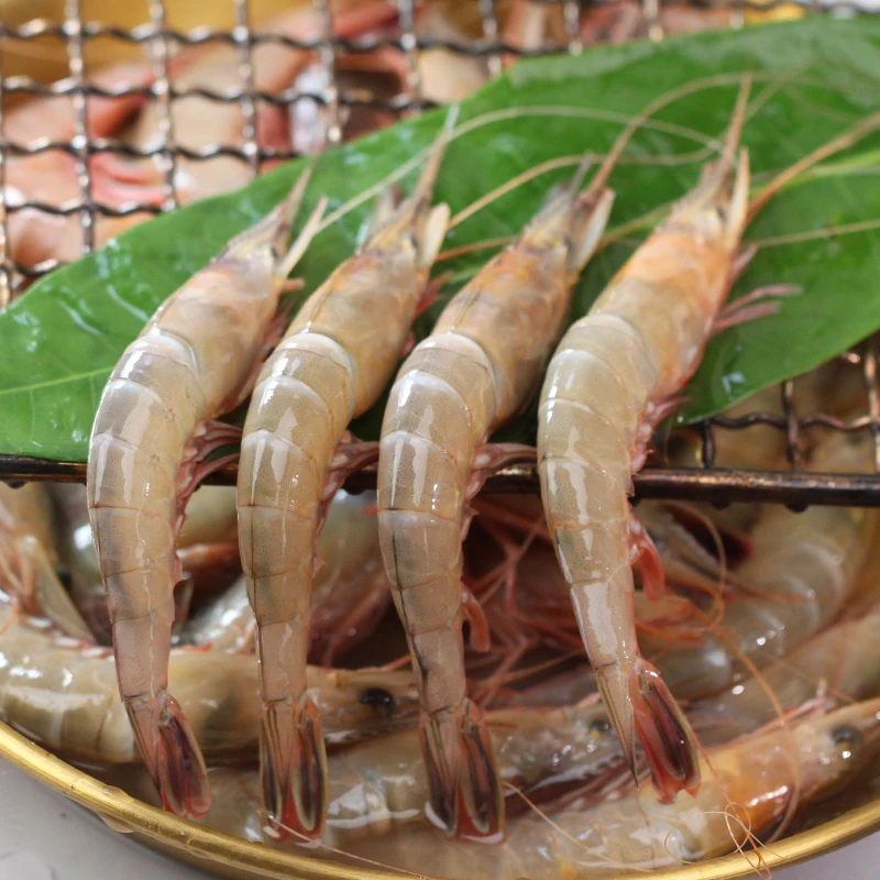 【小滑皮虾】宁波石浦海鲜东海海捕小条虾小呛虾新鲜小海虾滑皮虾