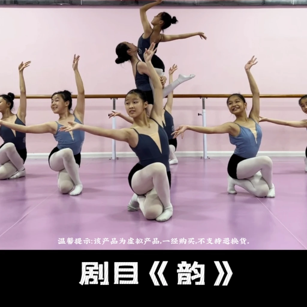 恋舞舞蹈古典舞身韵剧目《韵》