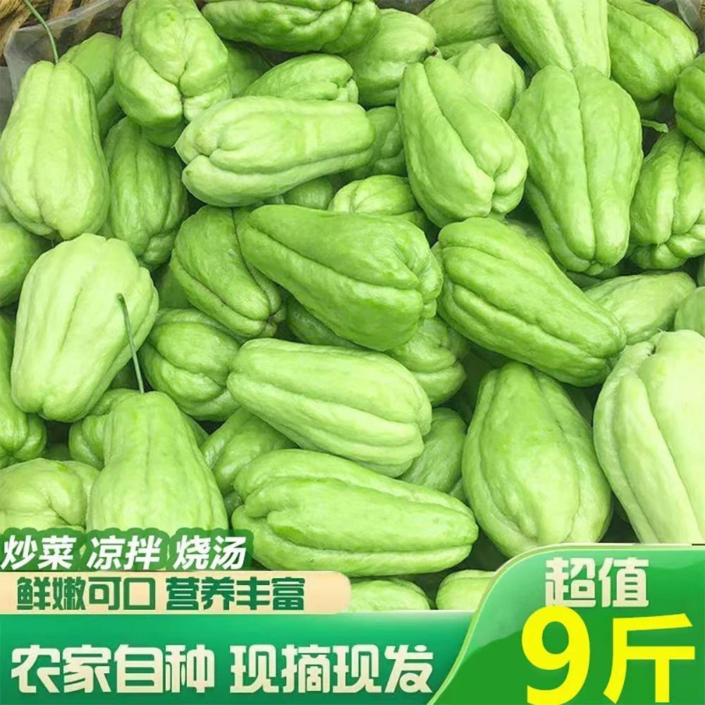 【新店优惠多多】正宗佛手瓜新鲜1-10洋瓜孕妇洋瓜寿瓜丰收窝瓜