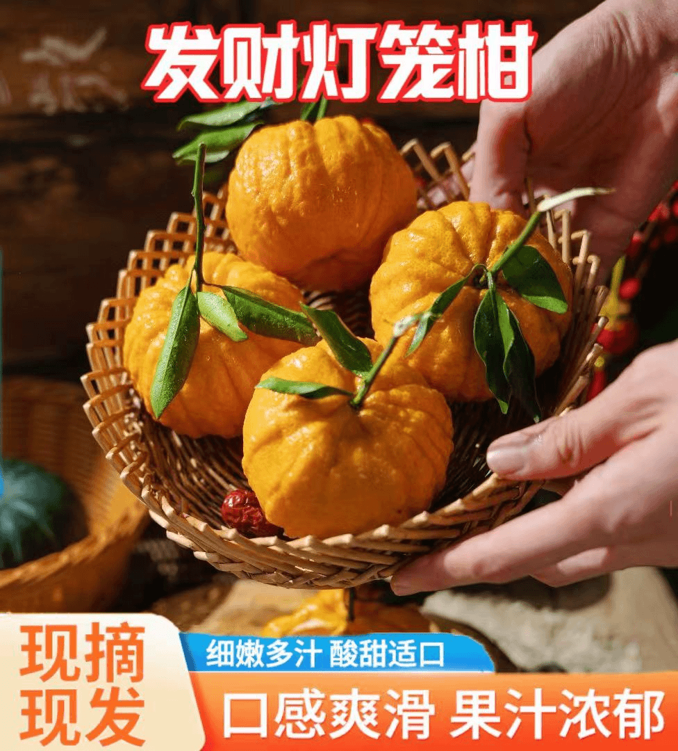 【新店优惠多多】【爆甜多汁】眉山南瓜柑灯笼柑南瓜红5斤/8斤礼盒