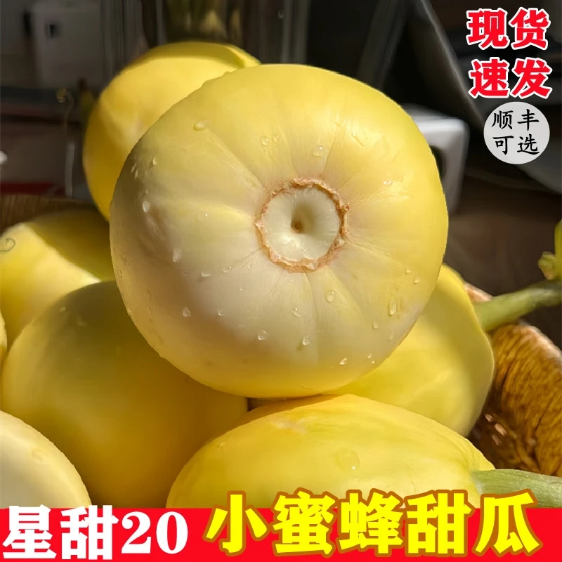 山东水果星田20小蜜蜂甜瓜脆甜多汁应季水果现摘现发香瓜好吃甜瓜