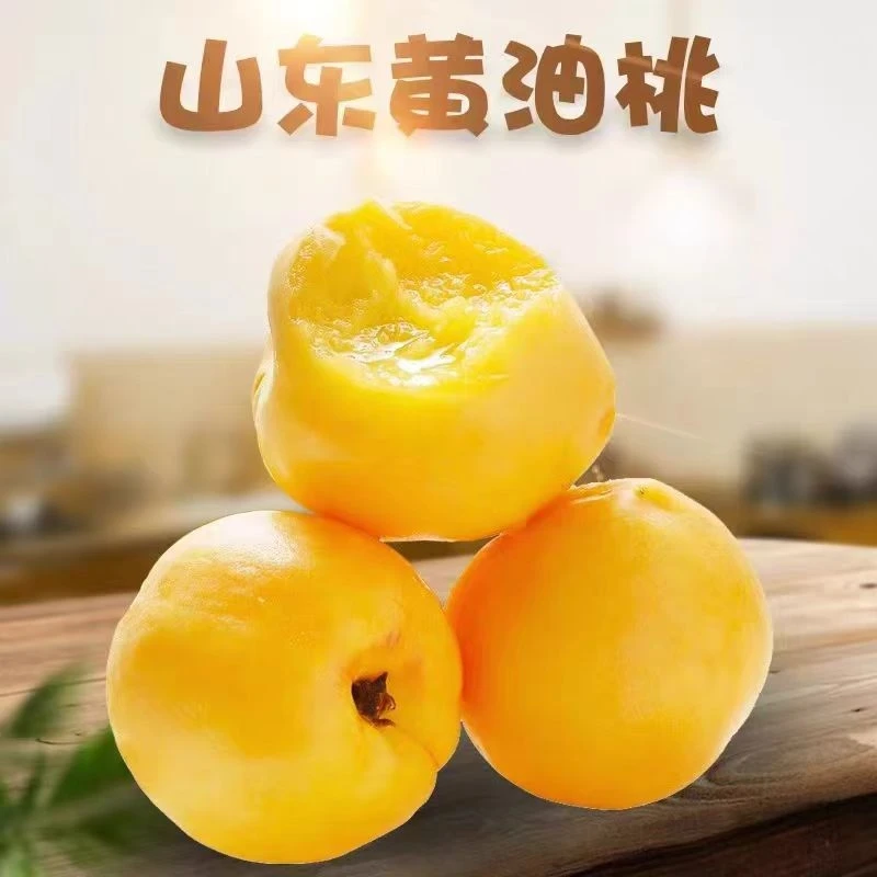山东蒙阴大黄桃当季头茬黄心油桃脆甜多汁到手4.5斤应季水果好吃