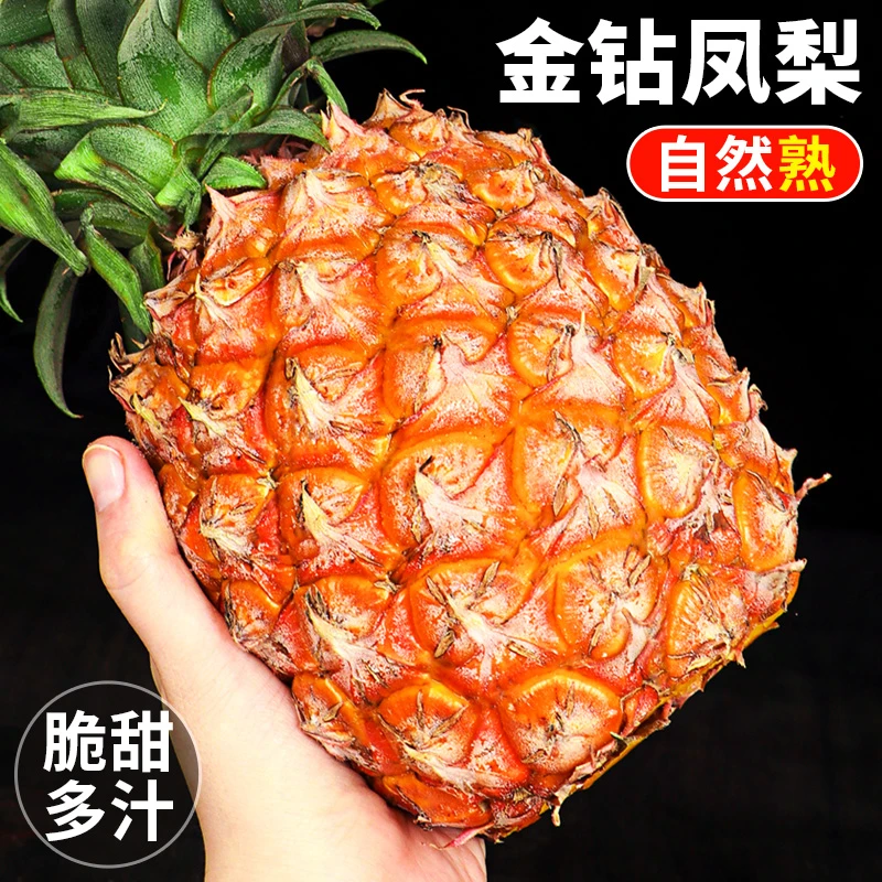 金钻凤梨新鲜水果酸甜多汁自然熟好吃原产地现摘现发当季水果5斤.