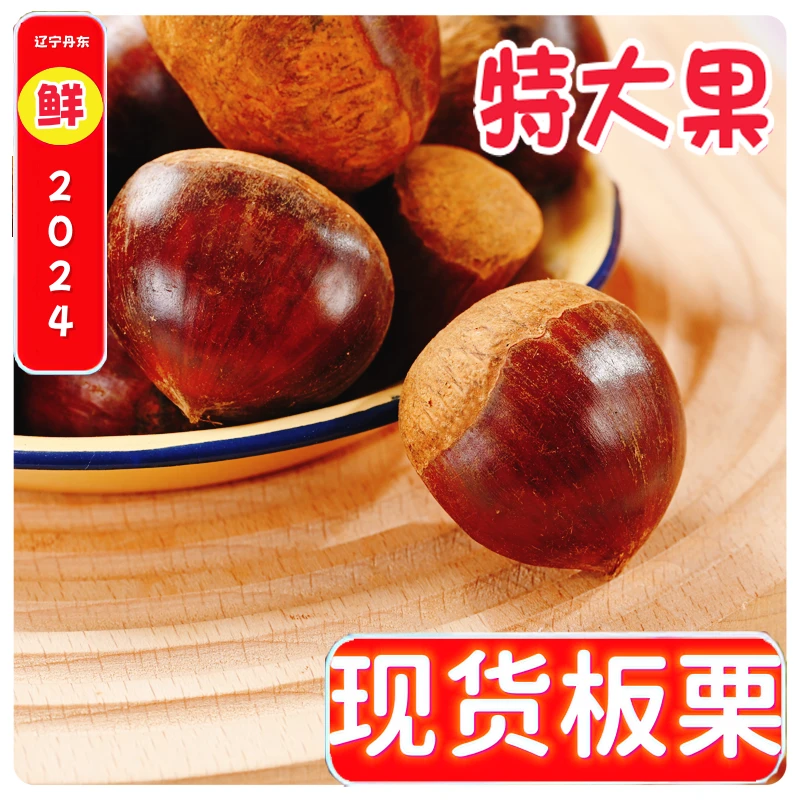 【翘嘴美食】6斤丹东大板栗新鲜板栗生板栗不是油栗送板栗爪难剥皮