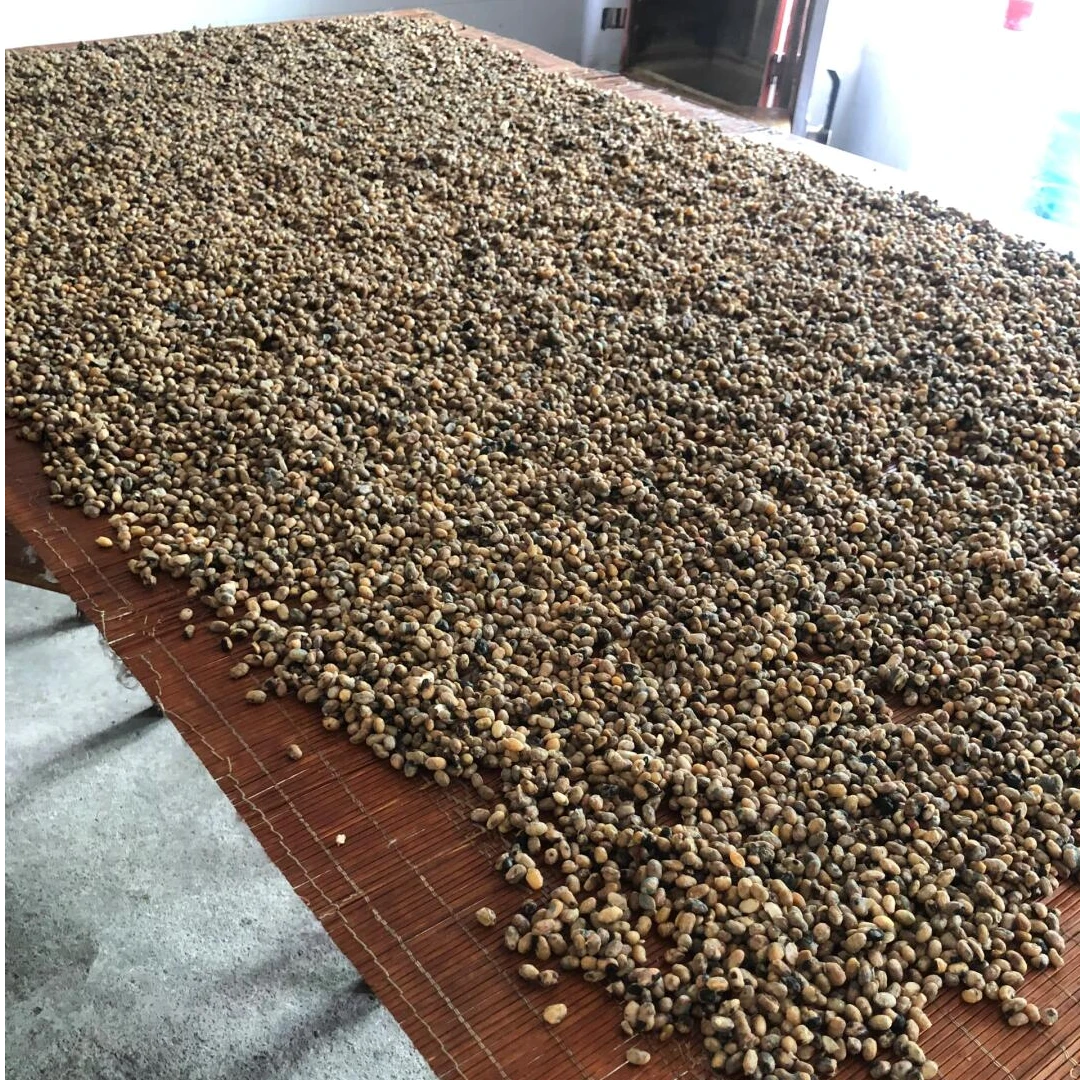 正宗农家特产优质干豆豉地道山货手工自做贵州风味下饭香味食用