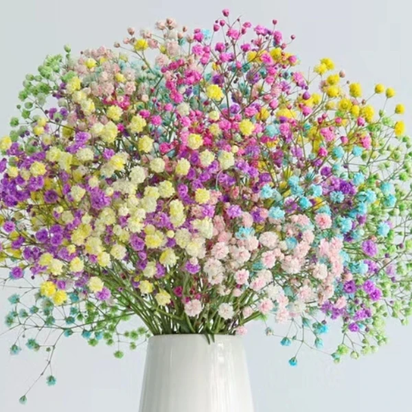 满天星鲜花干花情人节礼物超大束鲜散装论斤卖客厅装饰多色拼色