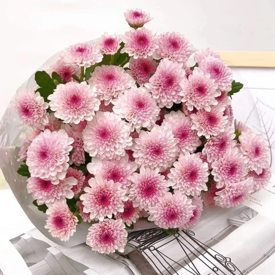 小雏菊混搭花束云南昆明基地直发办公家用水养鲜花花期超长顺丰