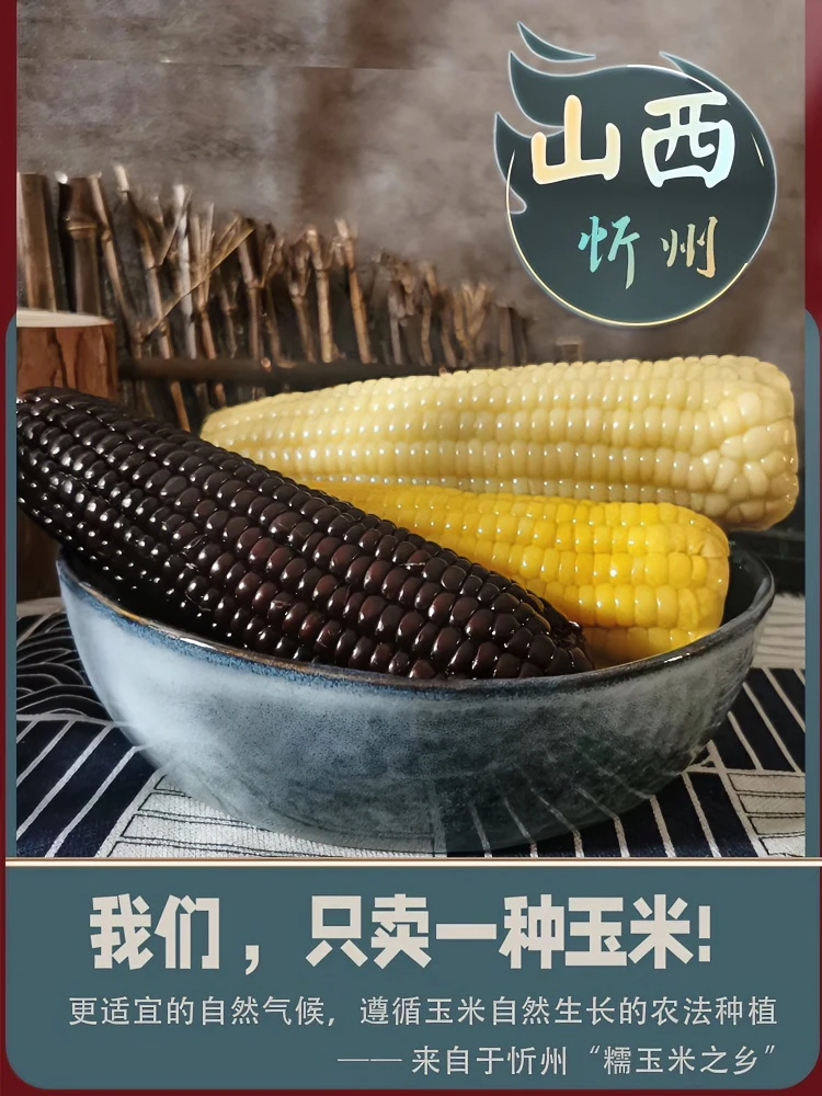 黑糯黄糯玉米东北新鲜软糯玉米棒真空包装甜糯现摘粘苞米加热速食