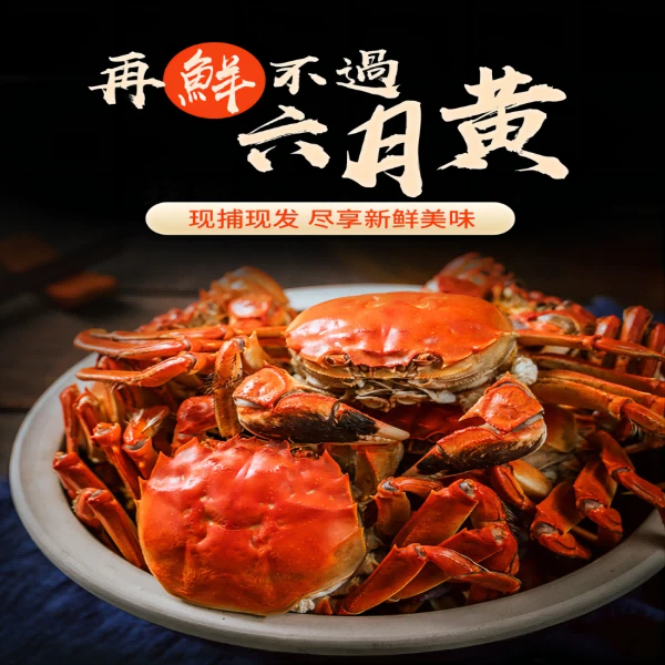 3斤（24-30只1两-1.4两）螃蟹纯公六月黄大闸蟹推荐香辣蟹做法辣炒年糕