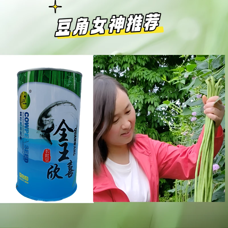 全王欣喜豆角种子正品豇豆早春秋播冬播翠绿色肉厚耐低温高产顺直