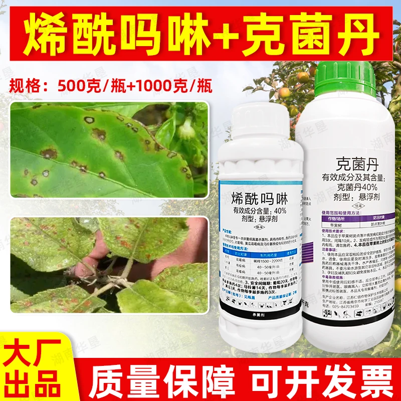 克菌丹+烯酰吗啉美果靓果专用杀菌剂美果增蜡大厂生产正品