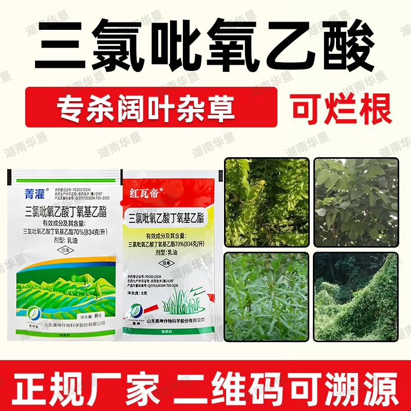 升级版70%三氯吡氧乙酸除灌木藤蔓水花生阔叶杂草专用根烂除草剂