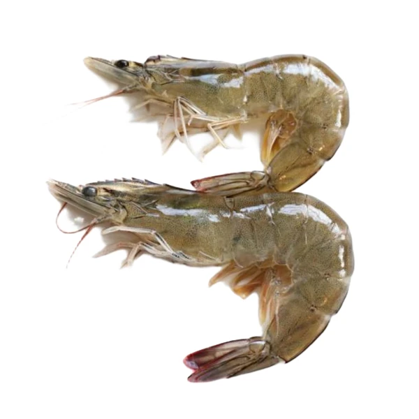 鲜活对虾（限购5斤）大虾同城送