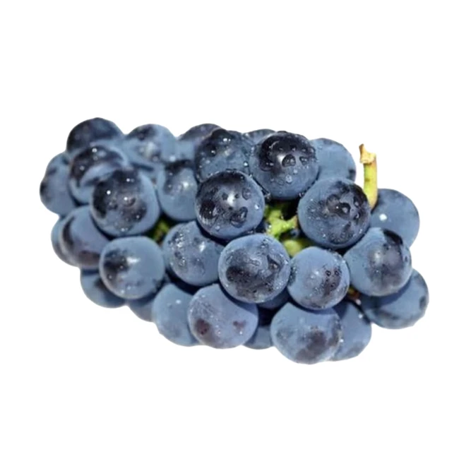 本地生态园糖豆巨峰葡萄五斤25.9元山东省