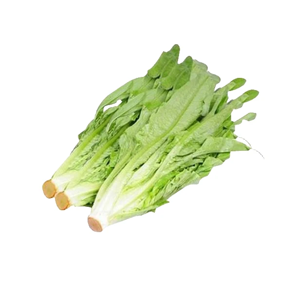 油麦菜 约500g