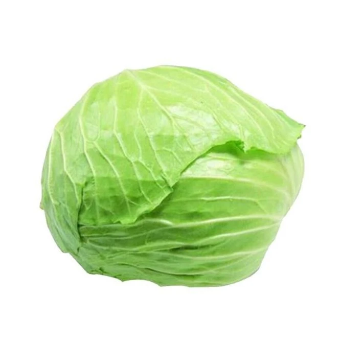 现摘青甘蓝卷心菜小圆包菜结球甘蓝现摘时令蔬菜5斤装绿色蔬菜