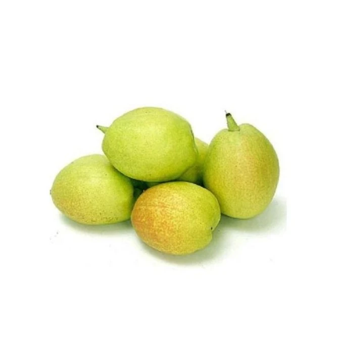 库尔勒香梨香梨500g 500g新鲜水果