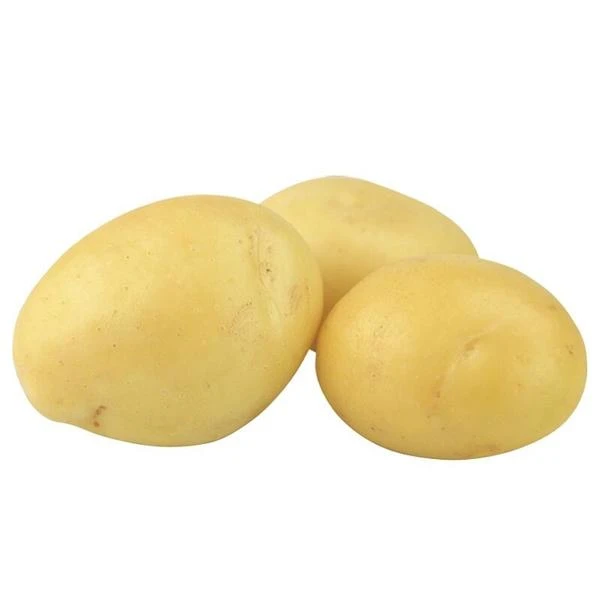 【土豆】黄皮黄心土豆新鲜蔬菜当天现挖马铃薯土豆 约500g土豆同城配