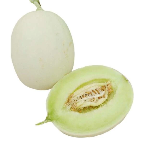 玉菇甜瓜2斤4两左右