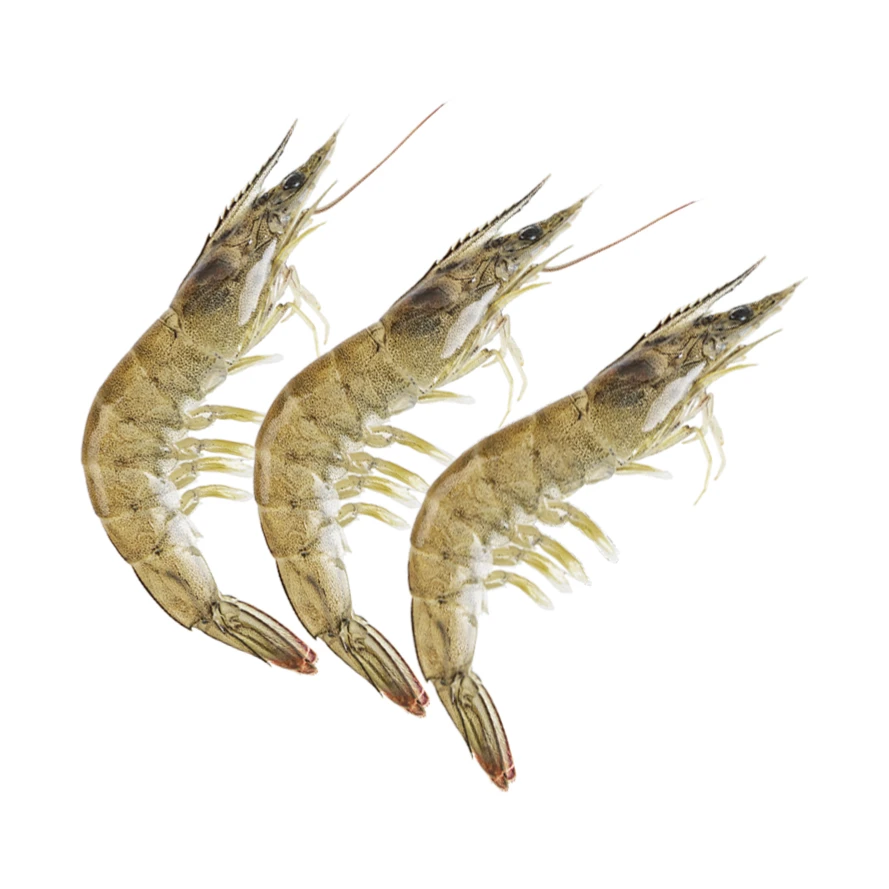 鲜活基围虾250/份12个