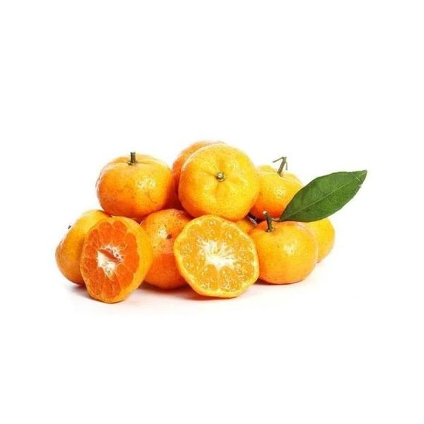 广西砂糖橘 约500g