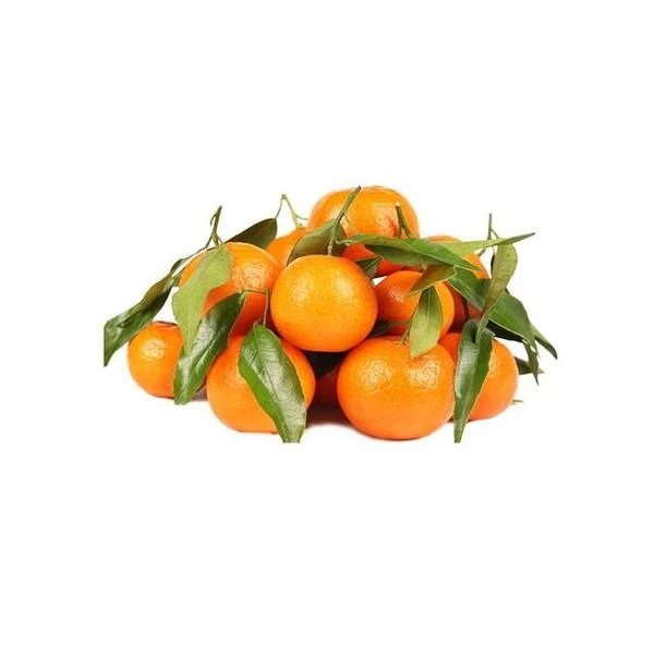 沙糖桔 约900g