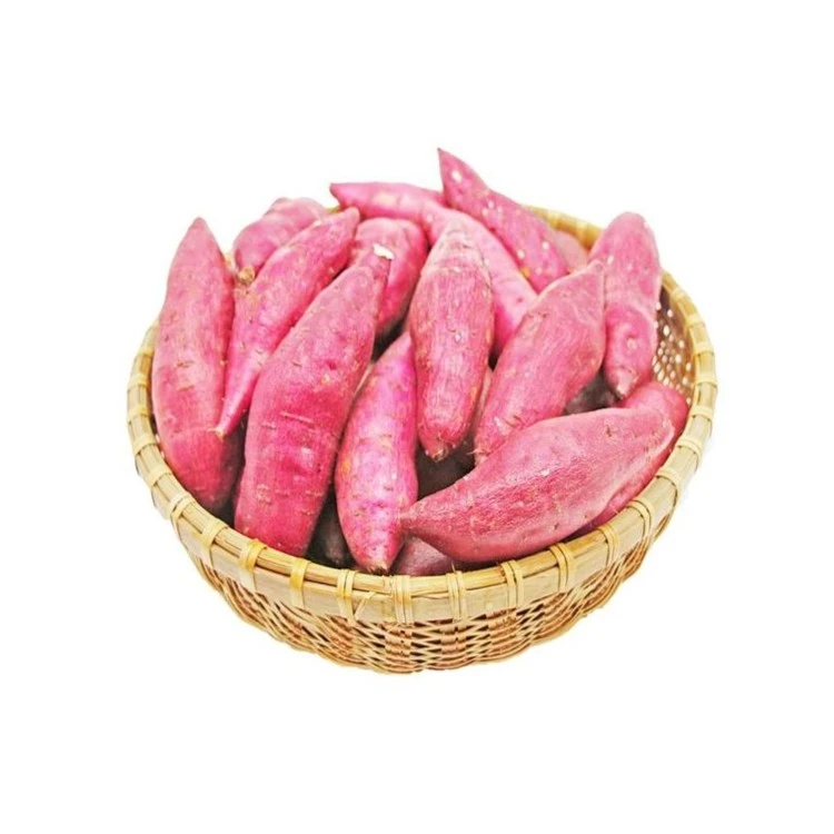 蜜薯 1000g/份新鲜